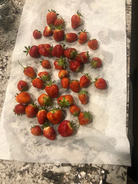 Strawberries - May 2020 - 3.jpg